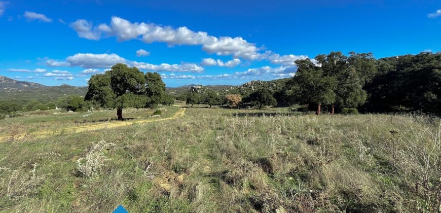 Azienda agricola in vendita in Gallura ref Cuncosu
