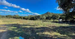 Azienda agricola in vendita in Gallura ref Cuncosu