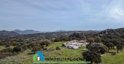 Azienda agricola in vendita in Gallura ref Cuncosu