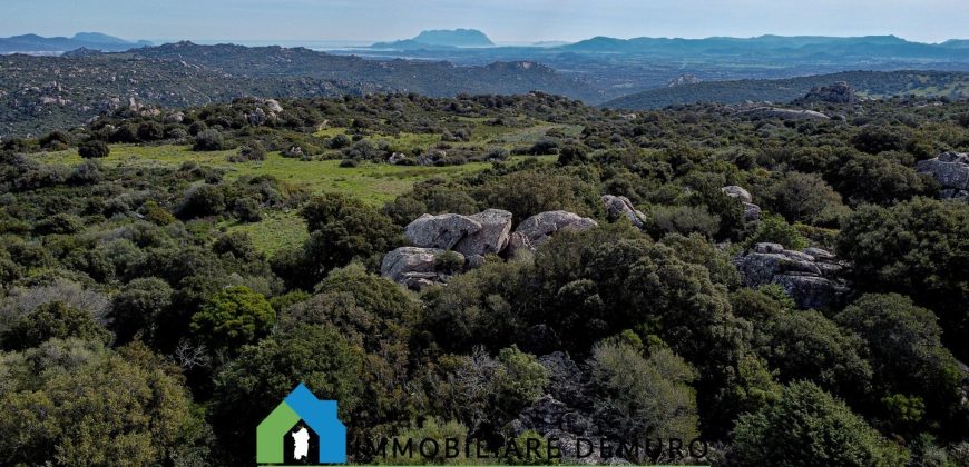 Azienda agricola in vendita in Gallura ref Cuncosu