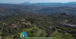 Azienda agricola in vendita in Gallura ref Cuncosu