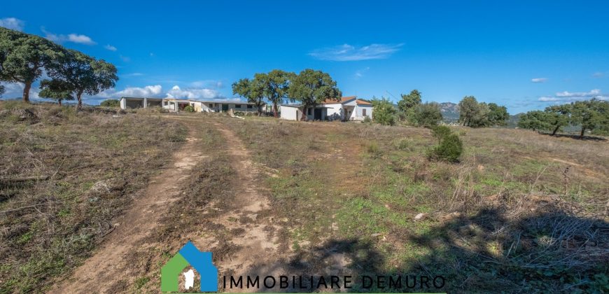Azienda agricola in vendita in Gallura ref Cuncosu