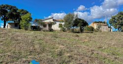 Azienda agricola in vendita in Gallura ref Cuncosu
