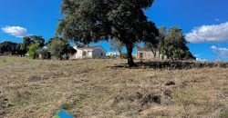 Azienda agricola in vendita in Gallura ref Cuncosu