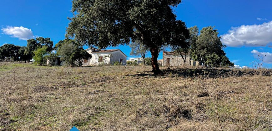Azienda agricola in vendita in Gallura ref Cuncosu