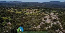 Azienda agricola in vendita in Gallura ref Cuncosu