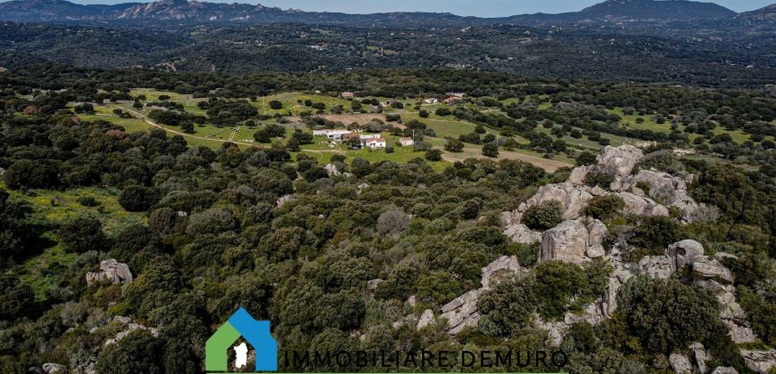 Azienda agricola in vendita in Gallura ref Cuncosu