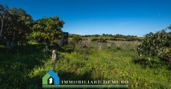 Casa di campagna in vendita Luogosanto ref.Lu Campu
