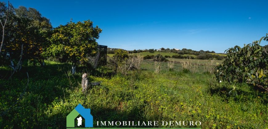 Casa di campagna in vendita Luogosanto ref.Lu Campu