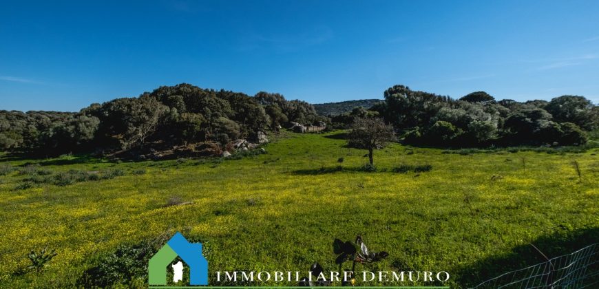 Casa di campagna in vendita Luogosanto ref.Lu Campu