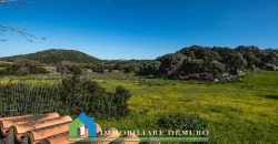 Casa di campagna in vendita Luogosanto ref.Lu Campu