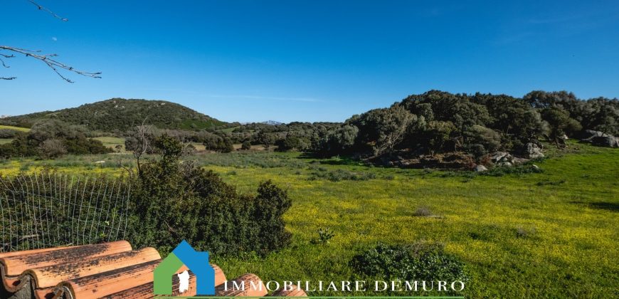 Casa di campagna in vendita Luogosanto ref.Lu Campu