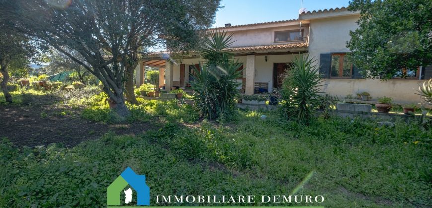 Casa di campagna in vendita Luogosanto ref.Lu Campu