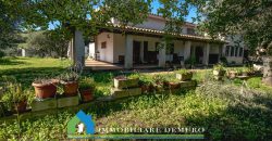 Casa di campagna in vendita Luogosanto ref.Lu Campu