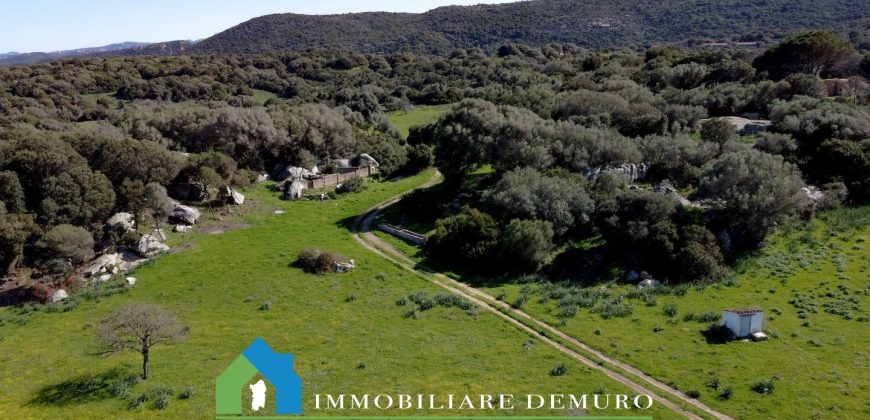 Casa di campagna in vendita Luogosanto ref.Lu Campu