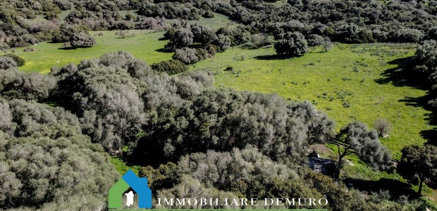 Casa di campagna in vendita Luogosanto ref.Lu Campu