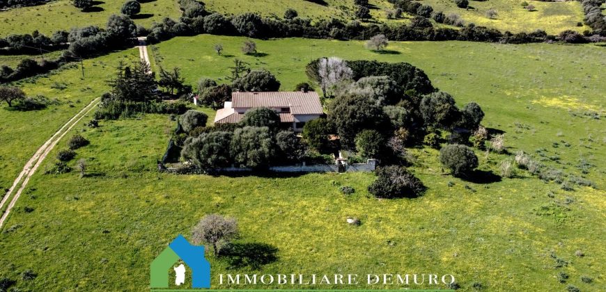 Casa di campagna in vendita Luogosanto ref.Lu Campu