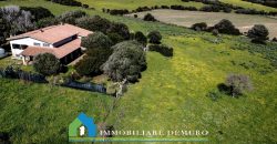 Casa di campagna in vendita Luogosanto ref.Lu Campu