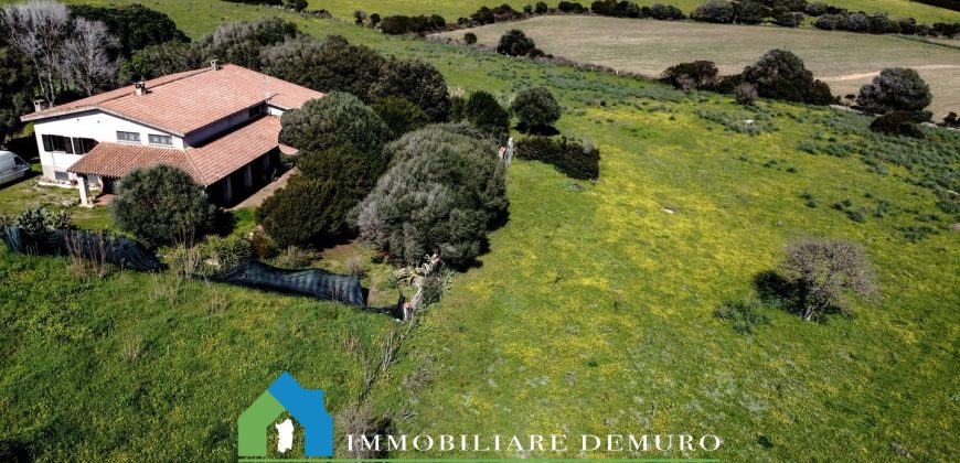 Casa di campagna in vendita Luogosanto ref.Lu Campu
