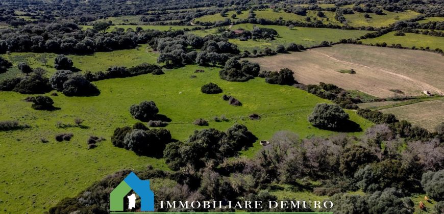 Casa di campagna in vendita Luogosanto ref.Lu Campu