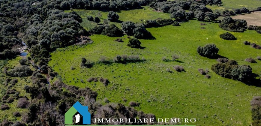Casa di campagna in vendita Luogosanto ref.Lu Campu