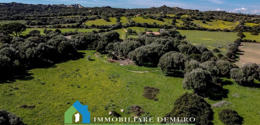 Casa di campagna in vendita Luogosanto ref.Lu Campu