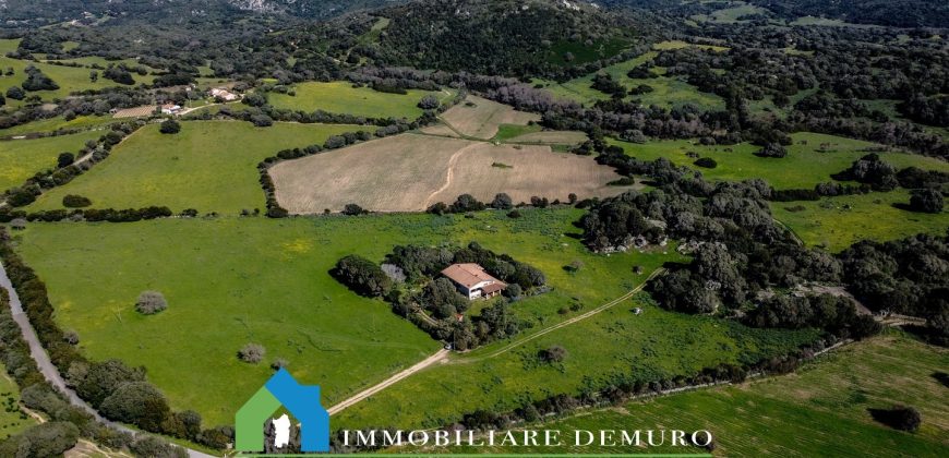 Casa di campagna in vendita Luogosanto ref.Lu Campu