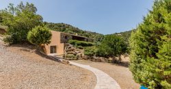 IMMOBILIENAGENTUR OLBIA
