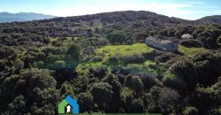 Agenzia Immobiliare a Luogosanto Ref.Canaili