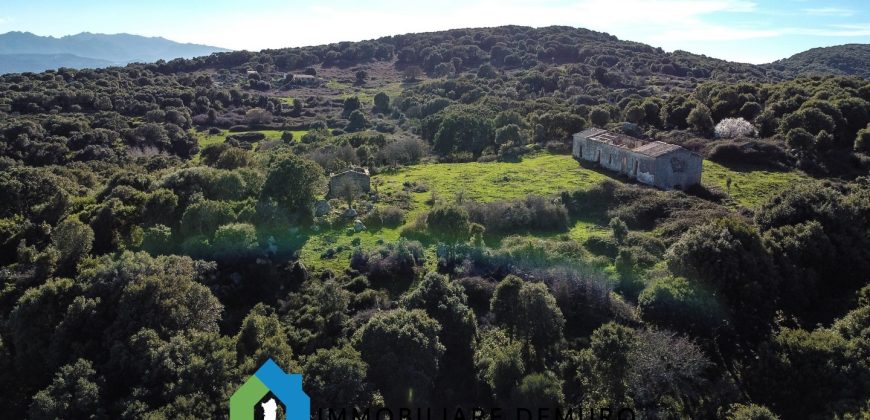 Agenzia Immobiliare a Luogosanto Ref.Canaili
