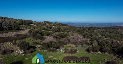 Agenzia Immobiliare a Luogosanto Ref.Canaili