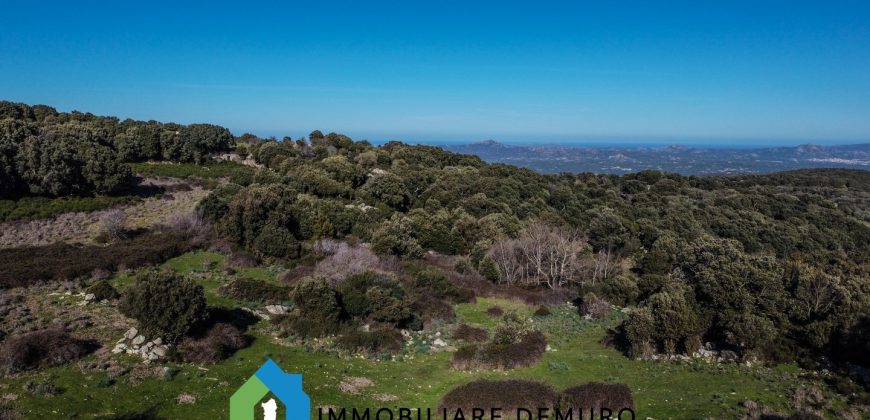 Agenzia Immobiliare a Luogosanto Ref.Canaili