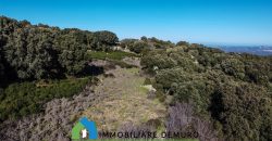 Agenzia Immobiliare a Luogosanto Ref.Canaili