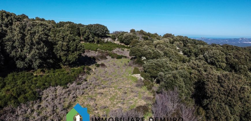Agenzia Immobiliare a Luogosanto Ref.Canaili
