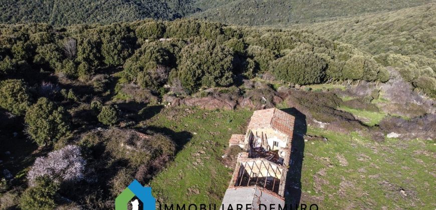 Agenzia Immobiliare a Luogosanto Ref.Canaili
