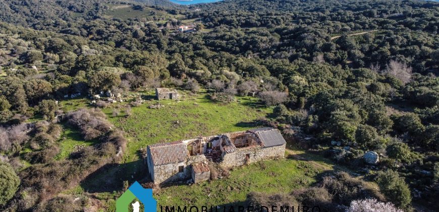 Agenzia Immobiliare a Luogosanto Ref.Canaili