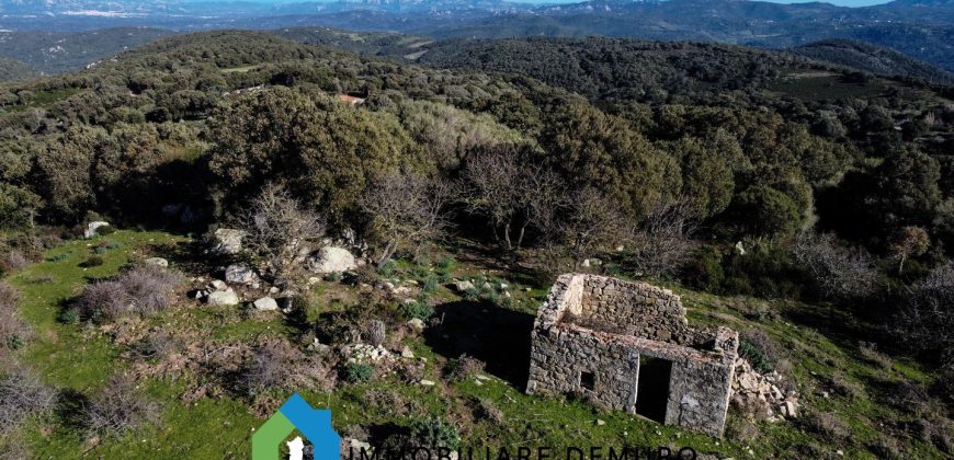 Agenzia Immobiliare a Luogosanto Ref.Canaili