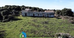 Agenzia Immobiliare a Luogosanto Ref.Canaili