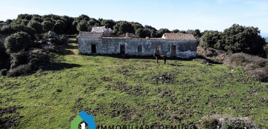 Agenzia Immobiliare a Luogosanto Ref.Canaili