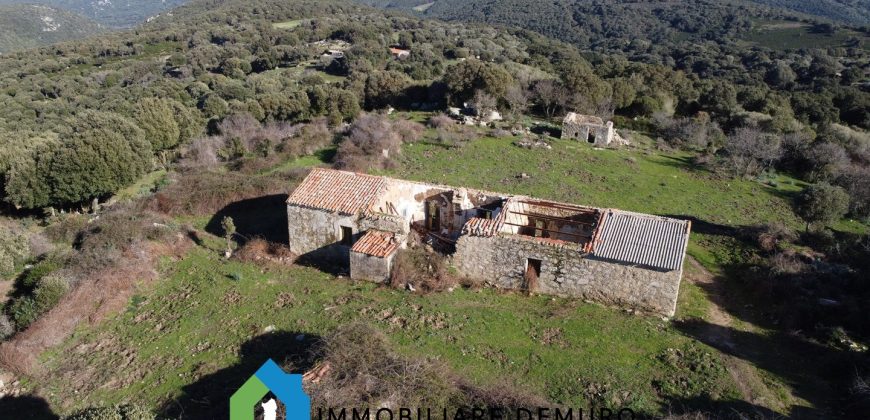 Agenzia Immobiliare a Luogosanto Ref.Canaili