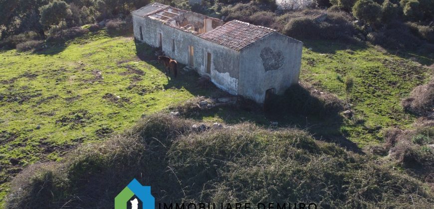 Agenzia Immobiliare a Luogosanto Ref.Canaili