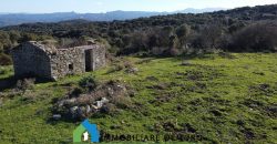 Agenzia Immobiliare a Luogosanto Ref.Canaili