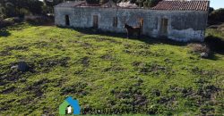 Agenzia Immobiliare a Luogosanto Ref.Canaili