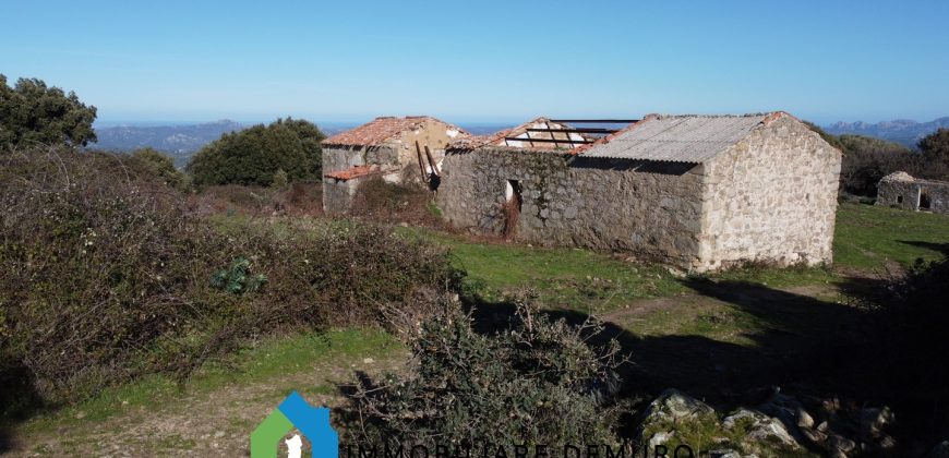 Agenzia Immobiliare a Luogosanto Ref.Canaili