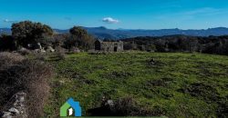 Agenzia Immobiliare a Luogosanto Ref.Canaili