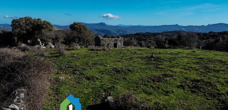 Agenzia Immobiliare a Luogosanto Ref.Canaili
