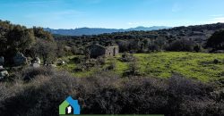 Agenzia Immobiliare a Luogosanto Ref.Canaili