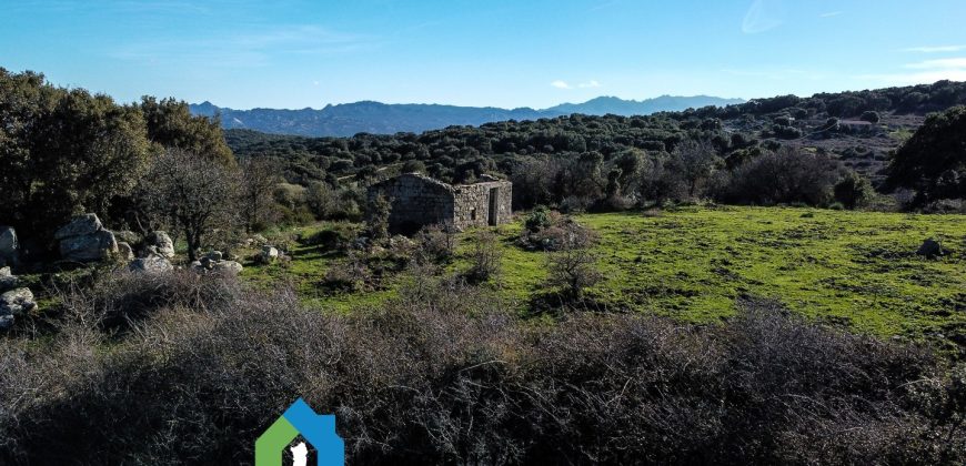 Agenzia Immobiliare a Luogosanto Ref.Canaili