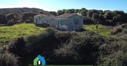 Agenzia Immobiliare a Luogosanto Ref.Canaili