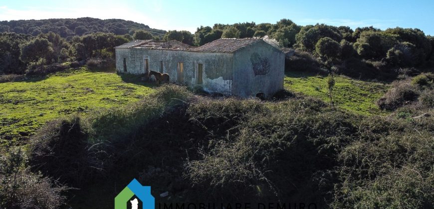 Agenzia Immobiliare a Luogosanto Ref.Canaili